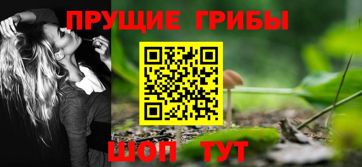 Псилоцибиновые грибы Cubensis  Галлюциногенные грибы Psilocybe  наркошоп  Вход с VPN  Лиски 